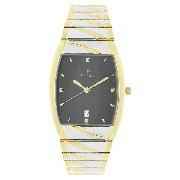 Karishma Analog Watch for Men NT9315BM02